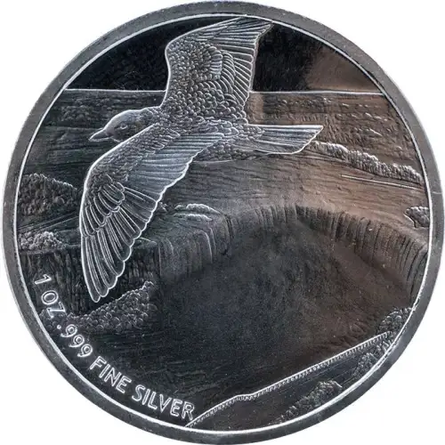 1 oz Niagara Falls - Silver Round (3)